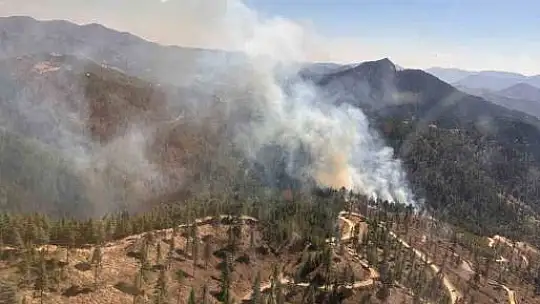 Feke'de orman yangını