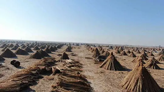 Gelmeyen kış kamışı da vurdu