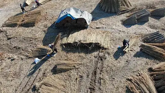 Gelmeyen kış kamışı da vurdu