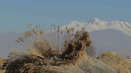 Gelmeyen kış kamışı da vurdu