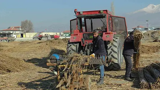 Gelmeyen kış kamışı da vurdu