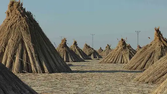 Gelmeyen kış kamışı da vurdu