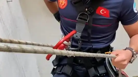 Düşen kedinin yardımına itfaiye yetişti!