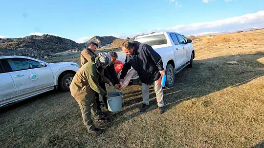 Hürmetçi Sazlığı'nda yemleme çalışması yapıldı