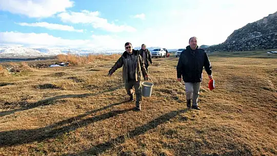 Hürmetçi Sazlığı'nda yemleme çalışması yapıldı