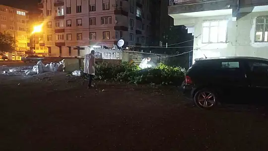 İki grup arasında kan aktı