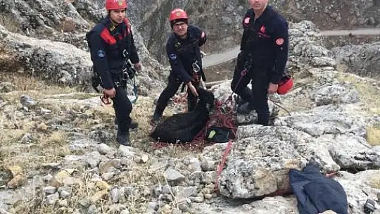 İtfaiyeden 3 saatlik keçi kurtarma operasyonu