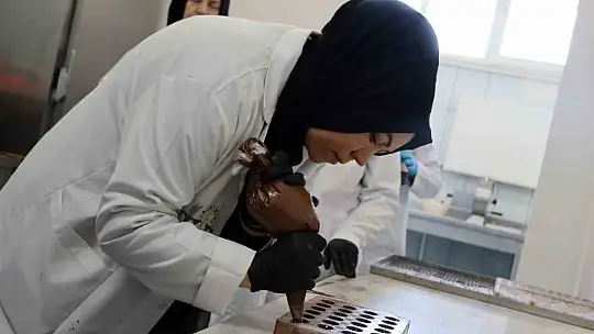 Kadınların gücü çikolatayı tatlandırdı