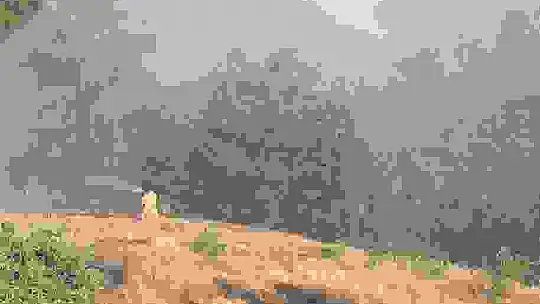 Kahramanmaraş'ta orman yangınına müdahale sürüyor