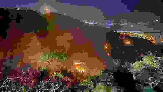 Kahramanmaraş'ta yaklaşık 7 dönümlük zeytinlik arazi kül oldu