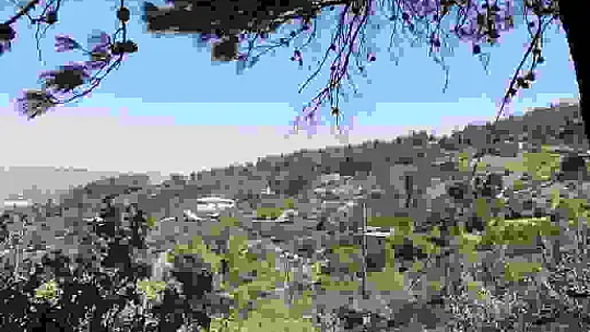 Kahramanmaraş'ta yanan 15 hektar alan dron ile görüntülendi