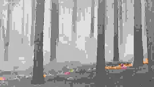 Kahramanmaraş'taki orman yangını söndürüldü