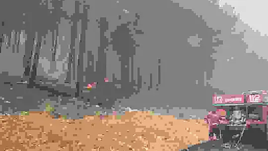 Kahramanmaraş'taki orman yangını söndürüldü