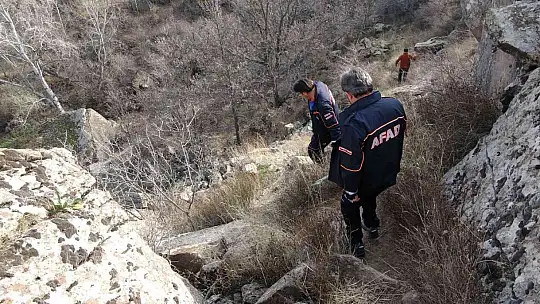 Kampa gitti hastanelik oldu