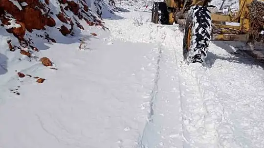 Kapalı 15 Mahalle Yolu Ulaşıma Açıldı