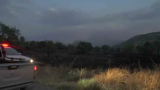 Anız yangını bakın neye mal oluyordu?