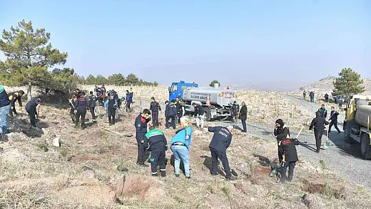 Kayseri Büyükşehir, 11.11'de 5 bin fidan ile geleceğe nefes oldu