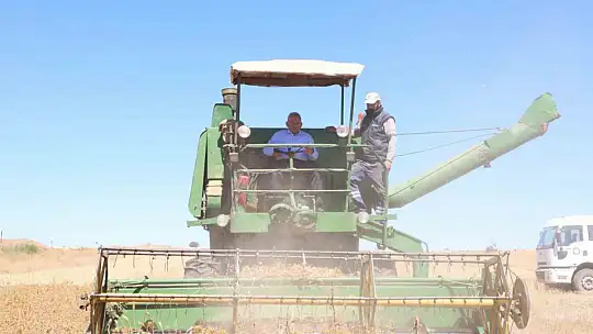 Büyükşehir'in dağıttığı tohumların hasadı yarın yapılacak