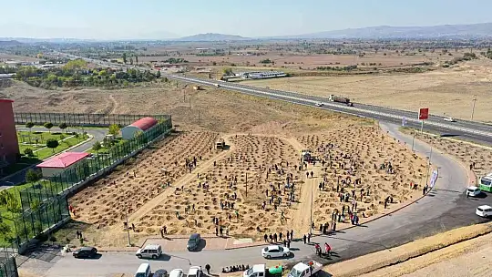 Büyükşehir'den 'Daha Yeşil Kayseri' için önemli yatırımlar