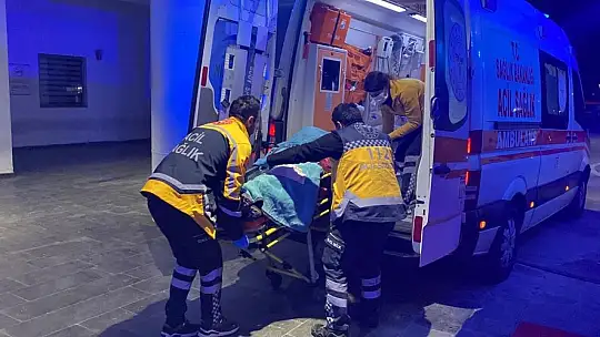 Arkadaş kavgası kanlı bitti