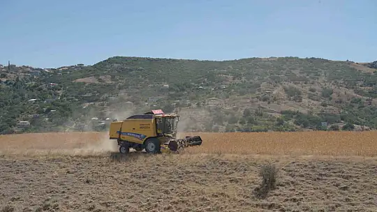 Hasat başladı! Türkiye'de en fazla üretilen il Kayseri...