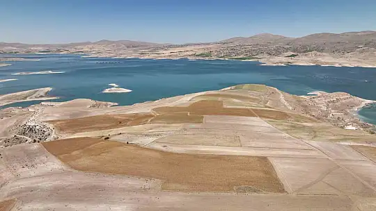 Hasat başladı! Türkiye'de en fazla üretilen il Kayseri...