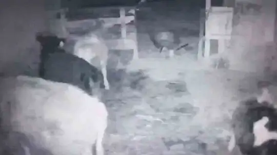 Korkutan deprem güvenlik kameralarına yansıdı