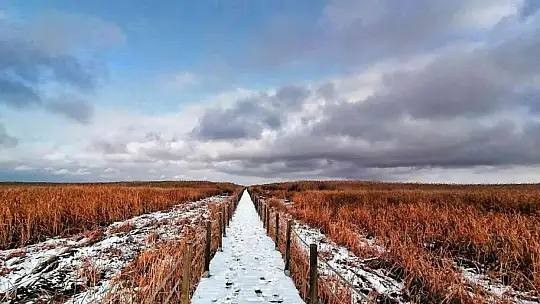 Kayseri'de ulusal öneme sahip sulak alanlar