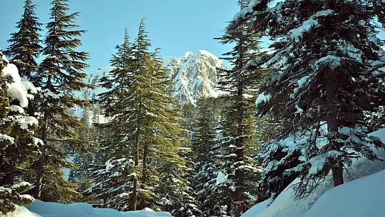 Kayseri'de ulusal öneme sahip sulak alanlar