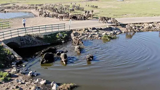 Kayseri'de ulusal öneme sahip sulak alanlar