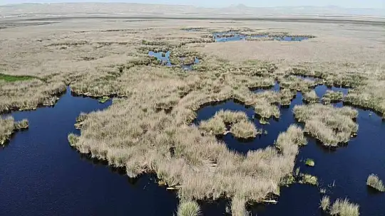 Kayseri'de ulusal öneme sahip sulak alanlar