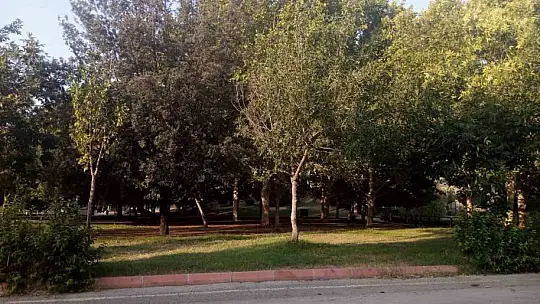 Kendini avukat olarak tanıtan kişiyi bıçakla öldürdü, ağaçlık alana kaçıp tabancayla intihar etti