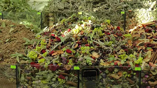 Bitkisel çaylara ilgi arttı