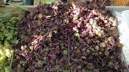 Bitkisel çaylara ilgi arttı