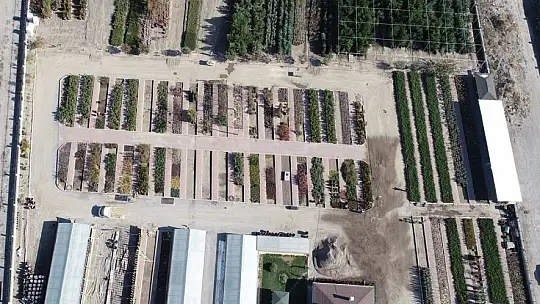 Kocasinan'da herkesin dikili bir ağacı olacak