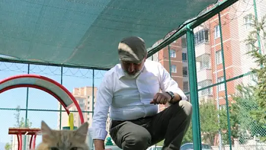 Kocasinan'dan dünyanın dikkatini çeken hizmet: Küçük Dostlar Kedi Kasabası