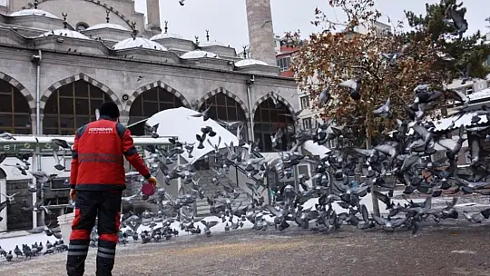 Sokak hayvanları için yemleme çalışması yapıldı