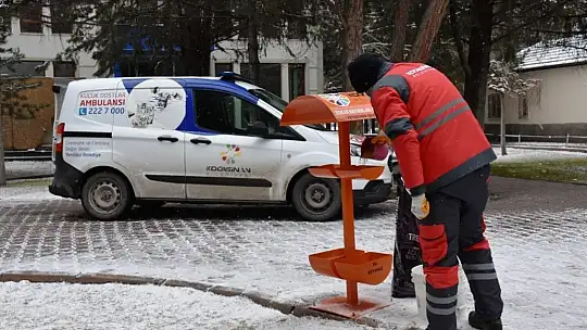 Sokak hayvanları için yemleme çalışması yapıldı