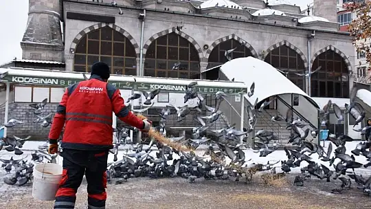 Sokak hayvanları için yemleme çalışması yapıldı