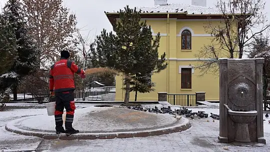 Sokak hayvanları için yemleme çalışması yapıldı