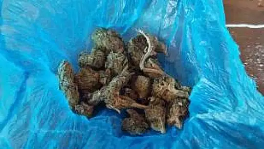 Konteyner bahanesi ile depremzede vatandaşları dolandırdılar