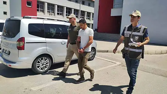 Koyunu döverek bayıltan kasaptan pişkin savunma: 'Yormak için öyle yaptım'