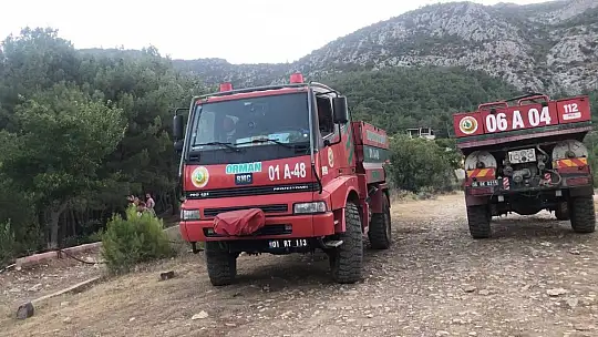 Kozan'da orman yangını