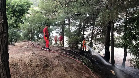 Kozan'da orman yangını