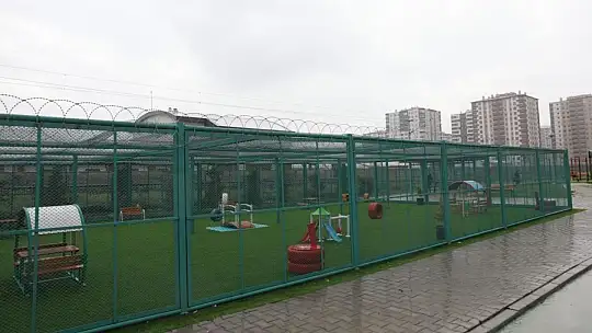 Küçük Dostlar Kedi Kasabası'nda geri sayım