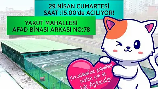 Küçük Dostlar Kedi Kasabası'nda geri sayım