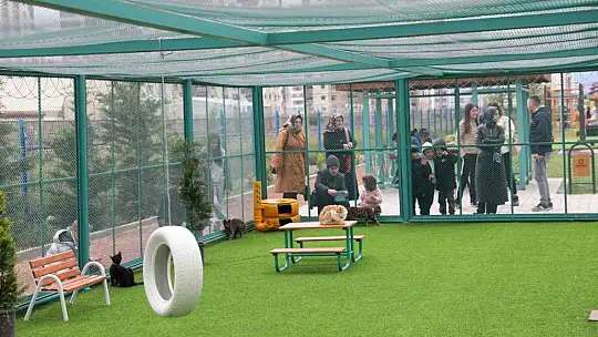 Kocasinan'da kedi kasabası açıldı