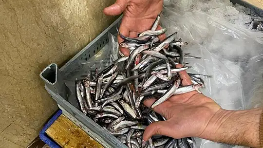 Kuraklık balıkları da olumsuz etkiledi