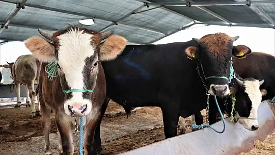 Bayram arefesi sıkı pazarlıklar başladı