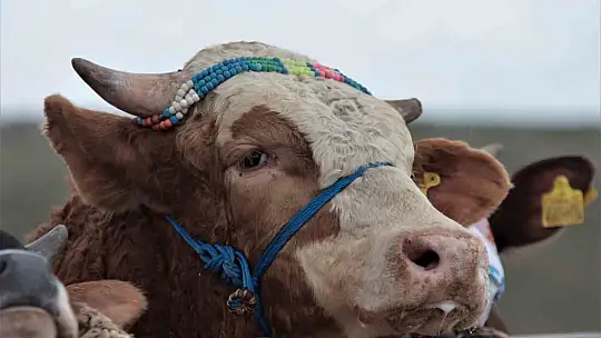 Bayram arefesi sıkı pazarlıklar başladı